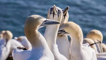 -国家队失误率居高不下反映训练漏洞，国家队难受