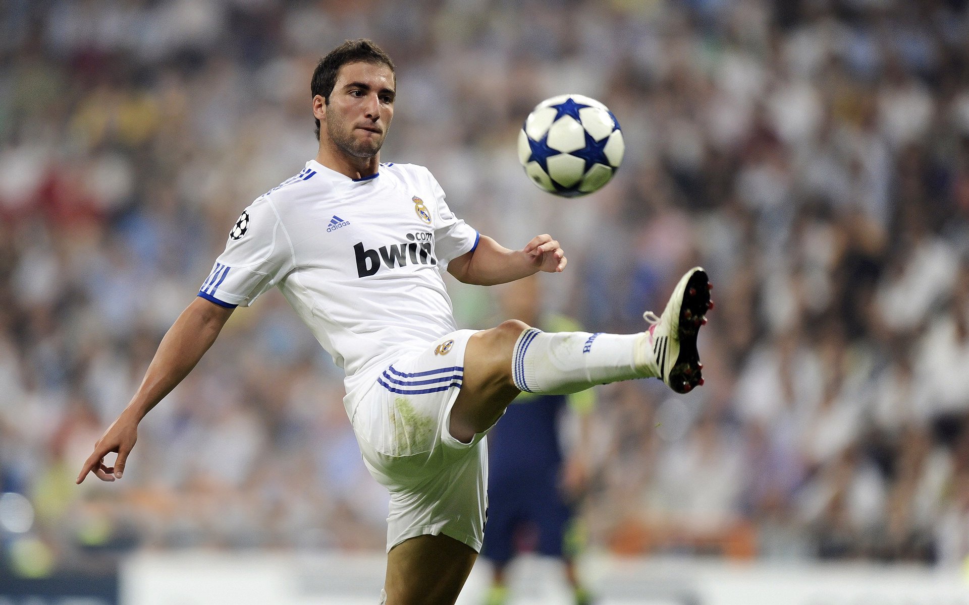 女足比赛球队实力强劲，备战目标直指胜利，足球女足