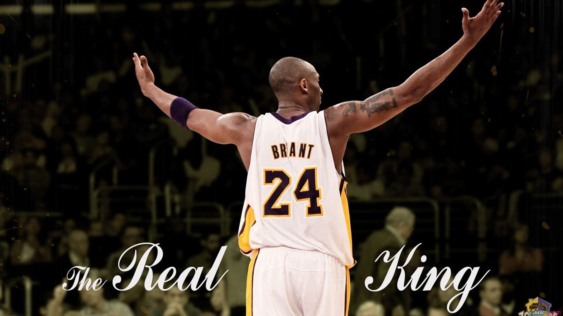 韩国星际争霸赛事安全保障加强,韩国星际争霸球赛