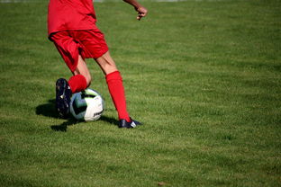 爱游戏体育（AYX）官方APP下载-冬奥场馆智能系统协助运动员热身训练，冬奥会设备